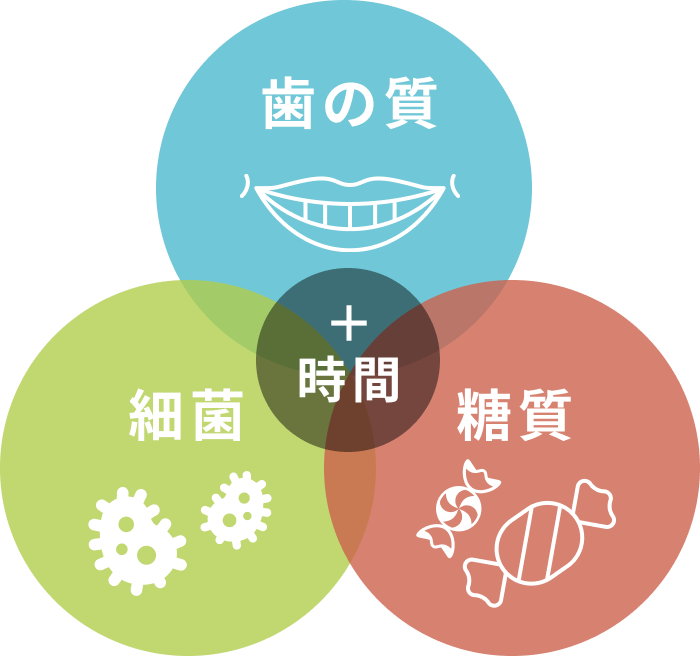 虫歯ができる理由